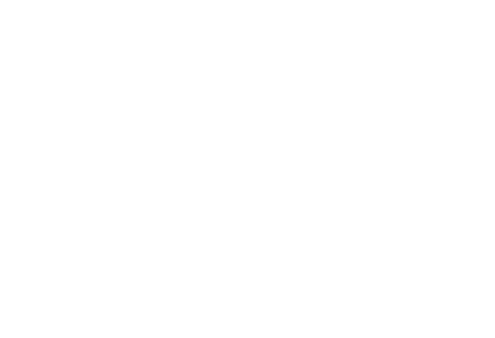 Peaux Polyester